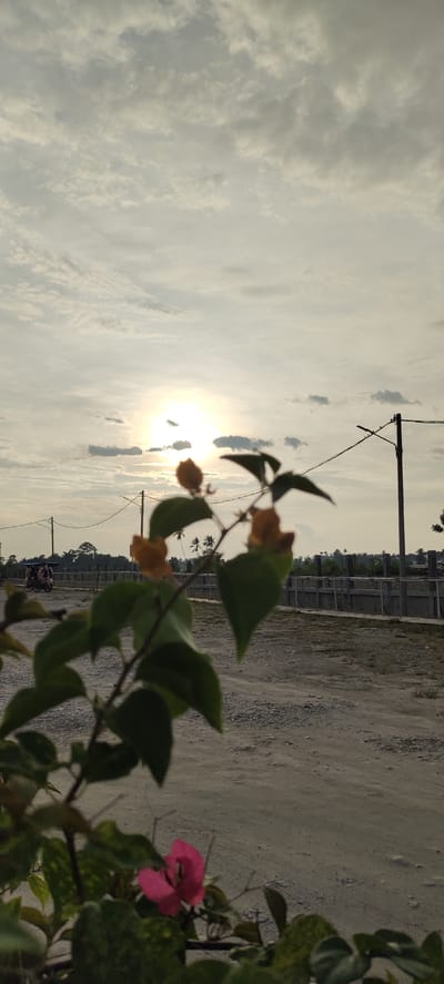 The image depicts a bright, overcast sky with the sun peeking through the clouds, casting a soft glow. In the foreground, a leafy branch with several small orange buds and one vibrant pink flower is in sharp focus. Behind the branch, a dirt road stretches into the distance, bordered by a low fence. In the mid-ground, a utility pole with wires is visible. Further back, palm trees and buildings suggest a rural or semi-urban environment. A three-wheeled vehicle is present on the road in the distance, indicating potential human activity. The scene appears to be located in Meunasahaluedrienlhoksukon Barat, Indonesia, possibly during daylight hours.