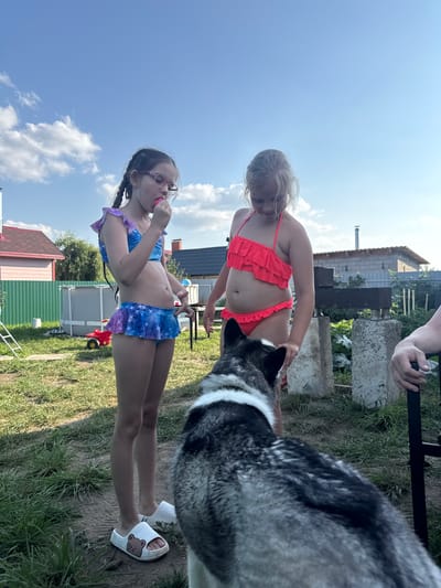 Two young girls and a husky dog are in a grassy, outdoor area on a sunny day. The girl on the left, wearing glasses and a blue swimsuit with a purple skirt, is holding a pink candy or lollipop to her mouth. The girl on the right, with blonde hair, is wearing a bright coral-pink ruffled bikini. Her gaze is directed downwards. A husky dog with black and white fur is in the foreground, with its head turned towards the girls. In the background, there is a building with a chimney, some scattered concrete structures, and green foliage, suggesting a rural or backyard setting. The sky is blue with white clouds. The image is oriented vertically.