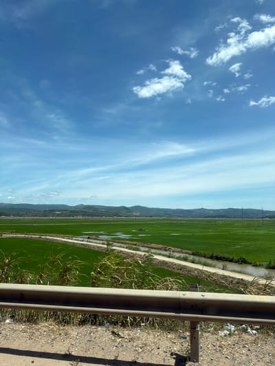 This media file depicts a landscape scene with a clear blue sky dotted with wispy white clouds. To the right, a vibrant green field, likely rice paddies, stretches towards a distant mountain range. A narrow dirt path or road runs alongside the field, bordered by a metal guardrail. The foreground features dry grass and gravel. The lighting suggests it is daytime, with the sun casting shadows from the guardrail. The scene appears to be set in a rural or agricultural area. No people or specific events are visible. The overall mood is serene and natural. Location cues suggest Tuy Hoa, Vietnam, known for its rice fields and coastal landscapes.