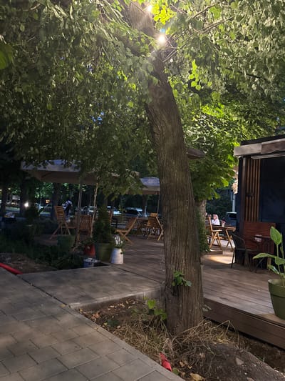 The image depicts an outdoor seating area of a cafe or restaurant at night. A large tree with lush green leaves dominates the foreground, its trunk stretching horizontally across the frame. Beyond the tree, a wooden deck is visible, furnished with various wooden chairs and tables. Several people are seated at the tables, engaged in conversations or enjoying their evening. Some are illuminated by the cafe's lighting, while others are in shadow.

A portion of the building's facade is also visible, featuring a dark exterior with horizontal wooden slats. The ground around the deck is a mix of dirt, dry grass, and paving stones. A red tube or hose is visible on the ground near the paving stones.

The scene appears to be set in Vladikavkaz, Russia. The time of day is night, as indicated by the artificial lighting and the dark sky. The presence of people dining suggests a social gathering or a casual meal. The overall atmosphere seems relaxed and inviting, with the natural element of the tree adding a touch of ambiance to the urban setting. No visible text is present in the image.