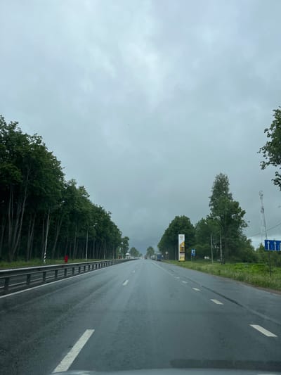 The image shows a wet, asphalt road in Zavidovo, Russia, flanked by trees on the left and a mixture of trees and vegetation on the right. The road has white lane markings and a metal guardrail runs along its left side. In the distance, the road appears to narrow and possibly leads to other vehicles. On the right side of the road, there are signs and billboards, including what appears to be a gas station sign with fuel prices. A telecommunications tower is faintly visible in the distance, above the trees on the right. The sky is overcast and gray, suggesting a rainy or cloudy day.