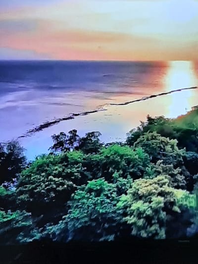 This is a vertical, low-resolution, digitally captured image of a natural scene, likely taken from a moving vehicle or drone due to the motion blur. The scene depicts a shoreline with lush green foliage to the right, possibly trees or dense bushes. A body of water stretches to the left, reflecting the sky and sunlight.
The time of day appears to be either sunrise or sunset, indicated by the warm, soft light and gradient of colors in the sky and water, ranging from pale yellow and orange to purple and blue. The weather seems calm, with the water appearing relatively still and reflecting the sky's colors. There are no visible people or man-made objects that clearly identify a specific location, but the greenery suggests a natural environment.
The overall mood of the image is serene and tranquil, due to the soft lighting and natural elements. The image quality is poor, with visible digital artifacts and pixelation, making detailed analysis difficult. The context provided for Sambir, Ukraine, does not offer any specific visual cues within the image itself to confirm this location. There is no visible text in the image.