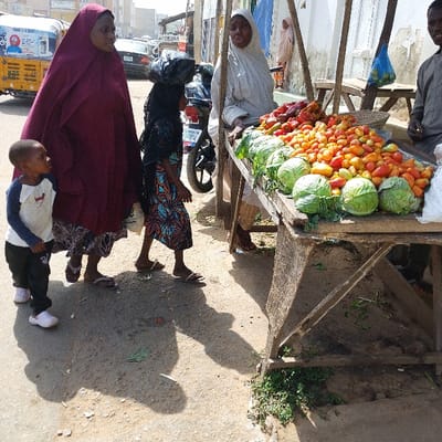 This image captures an outdoor market scene in Dan Maliki, Nigeria, under direct sunlight, casting distinct shadows.
In the foreground, three individuals walk towards the right across an uneven, dusty grey ground surface. On the far left, a young boy, approximately 3-5 years old, wears a white long-sleeved shirt with a black dog graphic, dark trousers, and white sneakers. He looks towards the right. Behind him, an adult female, wearing a dark red full-body veil (hijab) and a patterned skirt, walks in flip-flops. A young girl, approximately 6-10 years old, wearing a patterned dress, a dark head covering, and a black plastic bag on her head, walks in flip-flops between the adult female and a market stall.
On the right side of the frame, a rustic wooden market stall displays produce. The stall holds a large quantity of reddish-orange tomatoes and several green cabbages arranged in a row along the front edge. Behind the stall, an adult female vendor, dressed in a light-colored veil, stands looking towards the left. Partially visible on the far right, a male figure in a grey garment also stands behind the stall. A blue plastic bag hangs from an overhead wooden support pole above the stall.
In the background, a yellow auto-rickshaw (Keke Napep) featuring "001" on its side is visible on the far left. A black motorcycle is parked near the market stall. The street is lined with several light-colored buildings, and other vehicles and a distant person are discernible further down the road.