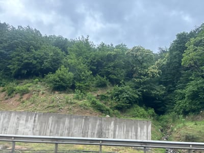 The image depicts a roadside scene in Tsakva, Georgia. In the foreground, a metal guardrail separates the viewer from a grassy area. Behind the guardrail, a grey concrete retaining wall runs horizontally across the frame. Beyond the wall, a steep, vegetated hillside rises, covered in lush green trees and smaller shrubs. The sky above is overcast with grey clouds. To the right of the retaining wall, a small, dark opening suggests a gap or a drainage path, with some debris visible at its base. The overall impression is one of a natural landscape adjacent to infrastructure.