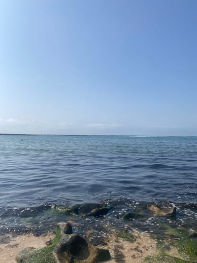 The image depicts a serene coastal scene in Harhoura, Morocco, under a clear blue sky with scattered wispy clouds near the horizon. The foreground features a rocky shoreline with some rocks covered in green algae, lapped by gentle waves that create a foamy edge. The water transitions from a darker, deeper blue in the middle ground to a lighter hue closer to the horizon. A faint line of a distant breakwater or landmass is visible. In the mid-distance, a solitary person is partially submerged in the water, appearing to be swimming or wading. The overall impression is one of tranquility and natural beauty.