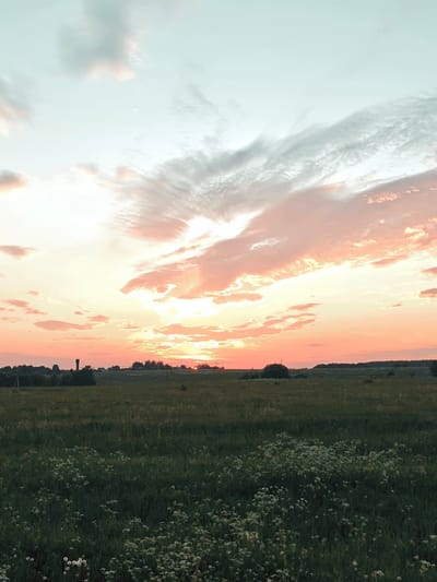 This is a vertical, eye-level shot of a rural landscape at dusk, possibly in or near the city of Kurkvo, Russia. The sky is filled with a dramatic sunset, featuring soft pink, orange, and pale blue hues, with wispy clouds stretching across the frame. The sun is a bright, almost white orb peeking through the clouds near the horizon.
The foreground is dominated by a dark green field, with patches of white wildflowers scattered throughout. In the mid-ground, a line of dark green trees and small buildings forms the horizon. A tall, slender, dark tower, resembling a water tower, stands prominently to the left of the frame, silhouetted against the bright sky. The overall mood is serene and peaceful.