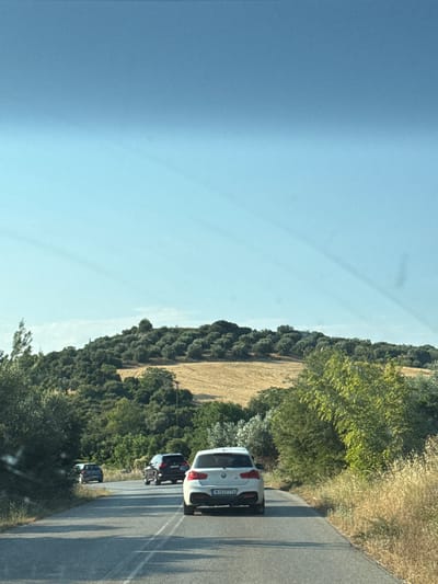 The image depicts a road scene in Petralona, Greece, under a clear blue sky. In the foreground, a white BMW hatchback, with license plate NIE 7774, is driving on an asphalt road. Behind it, a dark-colored SUV is following, and further ahead, a dark hatchback is also on the road. The landscape features rolling hills covered with dense green trees and a patch of dry, golden-yellow vegetation. The trees appear to be olive trees, a common sight in the Greek countryside. The road is bordered by dry grass and some green foliage. The lighting suggests it is daytime, likely late morning or early afternoon, with shadows cast on the road.