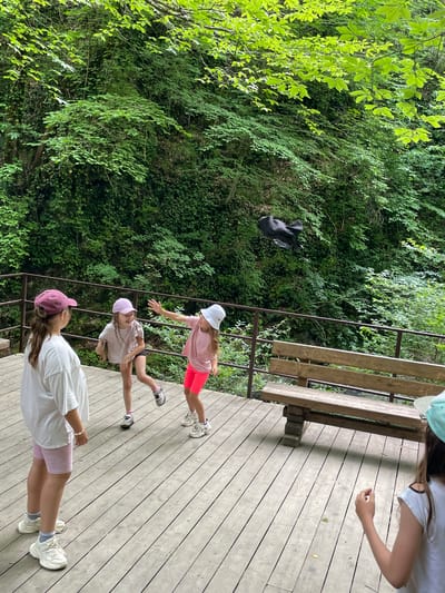 This media file shows four young girls on a wooden boardwalk next to a dense green forest. The scene appears to be outdoors during the daytime, with lush foliage suggesting a warm or mild climate. The lighting suggests it might be overcast or the sun is filtered through the trees.

Three girls are clearly visible and engaged in some sort of playful activity or interaction. The girl closest to the foreground is wearing a pink baseball cap, a white t-shirt, and pink shorts. She is facing away from the camera. Slightly further back, another girl in a light purple hat, a light-colored t-shirt, and dark shorts is looking towards the girl in front. The furthest visible girl is wearing a white bucket hat, a pink t-shirt, and bright orange-pink shorts. She is reaching out her hand as if to interact with the others. A fourth person, possibly an adult, is partially visible at the top right of the frame, wearing a light blue hat and a white t-shirt.

In the background, a black object is suspended in mid-air, possibly a frisbee or a toy being thrown. The boardwalk has a railing and a wooden bench. The forest behind the boardwalk is dense with various shades of green leaves and appears to be a natural, possibly wild, environment. The overall mood seems to be lighthearted and active, with the children enjoying an outdoor excursion. There is no visible text in the image.