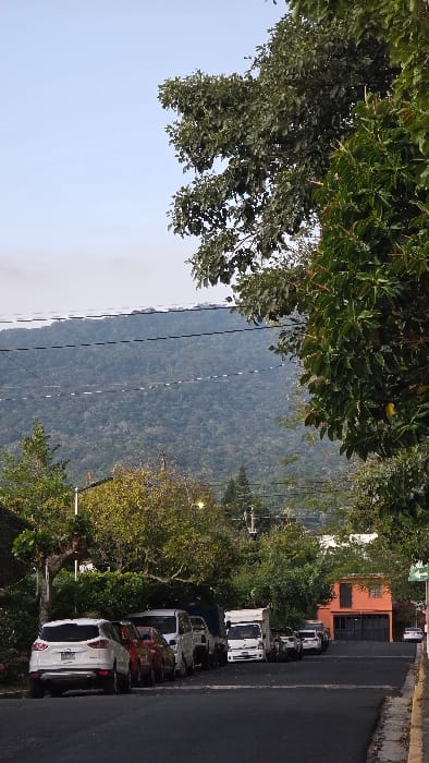 A scene presents a road lined with parked vehicles, including cars and trucks, adjacent to lush greenery. A dense forest covers a nearby mountain, creating a scenic backdrop. The sky is visible in a gradient of light blue. Power lines traverse the landscape, running parallel to the road, adding a touch of urban infrastructure to the natural environment. A building with an orange facade is also seen on the right side.
