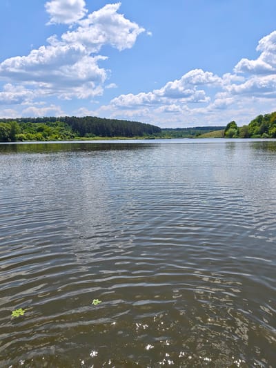 The media file displays a serene landscape scene of a wide, calm lake under a bright, partly cloudy sky. The foreground is dominated by the dark, rippling water of the lake, reflecting the sky and surrounding greenery. A few small, bright green water plants float on the surface.
In the middle ground, the lake stretches towards a tree-lined shore. The trees are lush and varied, with a mix of dense evergreen forest and lighter, deciduous foliage. The shoreline creates a gentle curve, hinting at the natural contours of the land.
The background features rolling hills and more distant trees, extending into the horizon. The sky is a vibrant blue, punctuated by large, fluffy white clouds that cast soft shadows on the landscape. The sunlight suggests it is daytime, likely midday or early afternoon.
There are no people or man-made objects visible in the scene, contributing to a feeling of peace and natural tranquility. The overall impression is one of a beautiful, untouched natural setting in a rural or wilderness location. The location context of Horodyshche, Ukraine, places this scene within a specific geographic region known for its natural landscapes. There is no visible text in the image.