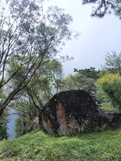 A large, dark mossy boulder dominates the foreground, set upon a grassy hill. Sparse trees with thin trunks frame the left side of the image, their branches reaching towards the overcast sky. A mix of green foliage fills the background, blurring into the grayness. A glimpse of distant landscape is visible below the trees. The overall scene evokes a tranquil, natural environment.