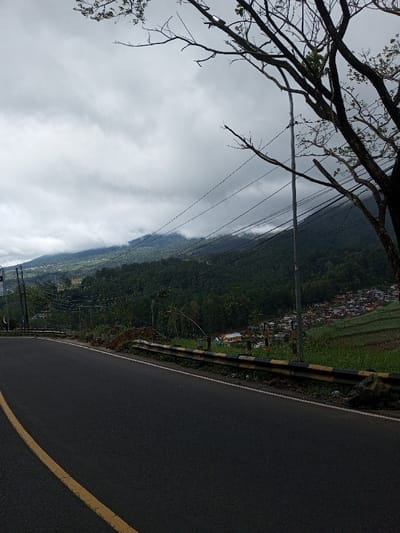 The scene depicts a mountainous, rural landscape in Phoxay, Laos, under a heavily overcast sky. A dark asphalt road with a solid yellow line on its left edge curves through the lower left foreground. A black and yellow striped guardrail lines the right edge of the road. Beyond the guardrail, a steep, green slope descends, revealing terraced agricultural fields and a cluster of residential structures with multicolored roofs in a valley below. Multiple utility poles and a network of dark electrical or communication wires span the midground. Dense, dark green forest covers the distant mountains, which are partially shrouded by low-hanging grey clouds. Bare tree branches are visible in the upper right, partially obscuring the sky. No human or vehicular activity is present.