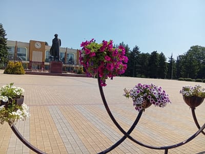 In the city of Rybnitsa, Moldova, a statue of Vladimir Lenin stands prominently in front of a building with a large clock. The statue is situated on a raised platform. The plaza in front of the building is paved with light-colored square tiles. Several decorative metal stands with planters of flowers are placed in the foreground. One planter holds vibrant pink petunias, another contains a mix of purple and white petunias, and a third features white petunias. The sky is clear and blue. Trees line the background, forming a backdrop to the scene.