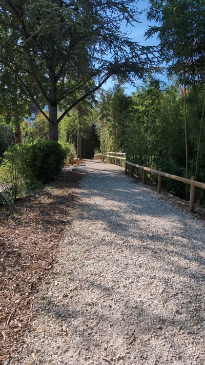 The image depicts a gravel pathway winding through a park-like setting with dense green foliage. On the left side of the pathway, there is a large tree with dark bark and a canopy of green leaves, situated near a bed of wood chips and smaller plants. On the right side of the pathway, a wooden railing with vertical posts and horizontal bars borders the path. Beyond the railing, a dense growth of bamboo and other trees creates a lush green backdrop. The pathway itself is covered in small, light-colored gravel and is illuminated by sunlight, casting shadows from the trees and railing. The sky above is clear and blue. The location is the Parc de la Colombière in Dijon, France, known for its diverse plant life and walking paths. There are no people or animals visible in the image.