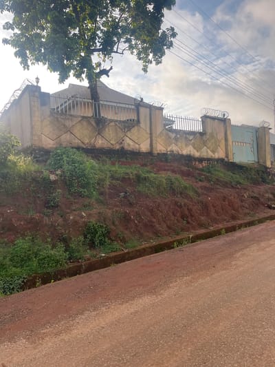 The image depicts a street scene in Gembu, Nigeria. A tall, steep embankment covered in red soil and overgrown with green vegetation rises on the left side of the frame. The embankment is partially retained by a concrete wall with a diamond-shaped pattern. Above the wall, a light blue metal gate with vertical bars is visible, topped with barbed wire. Another section of the wall, also topped with barbed wire, is seen further to the left. A large tree with dense green foliage extends into the frame from the lower left. On the right side of the image is a paved road with a reddish-brown hue, appearing to be made of asphalt or a similar material. The road slopes gently away from the viewer. The sky above is partly cloudy with a bright, diffuse light, suggesting it is daytime, possibly late morning or early afternoon. The overall impression is one of a somewhat rugged, natural landscape adjacent to a developed area. There is no visible text in the image.