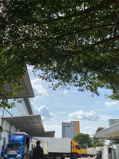 This is a vertical, eye-level medium shot taken from below, looking up towards a bright sky dotted with white, fluffy clouds. The scene is dominated by the dense, dark green foliage of a large tree in the foreground, its branches and leaves creating a dappled pattern of light and shadow.
Peeking through the leaves, the background reveals a cityscape with several modern buildings. To the right, a yellow truck with a black tarp is parked. Further back, a tall residential building with a grey facade and an orange-capped top stands prominently. Another, taller white and grey building is visible to the far left.
In the bottom right corner, a person wearing a black jacket is partially visible, their back turned to the camera, looking towards a blue delivery truck. The truck has the "Indomaret" logo on its side, which is a convenience store chain in Indonesia. The license plate of the truck is partially visible, showing "DA 8619 BH".
The lighting suggests it is daytime, likely a sunny day with some cloud cover. The overall atmosphere is calm and urban, with the natural element of the tree contrasting with the man-made structures. The location context is Gambut Barat, Indonesia.