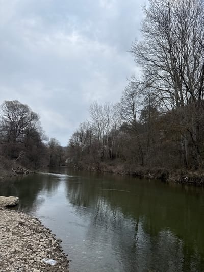 The image displays a river in Orashac, North Macedonia, under an overcast, light-grey sky. The dark, greenish-brown water occupies the central and lower portions of the frame, reflecting the sky and bare branches. The left foreground bank is a rocky composition of grey and brown pebbles and stones, with a larger, light-colored rock at the water's edge. A transparent plastic bag lies among the rocks. Both riverbanks are densely lined with leafless deciduous trees and shrubs, indicative of late winter or early spring. The dark, intricate branches form a thick canopy along the watercourse. White debris is observable clinging to branches on the right bank. No human or animal subjects are present. Distant terrain is faintly visible through the tree line in the background.