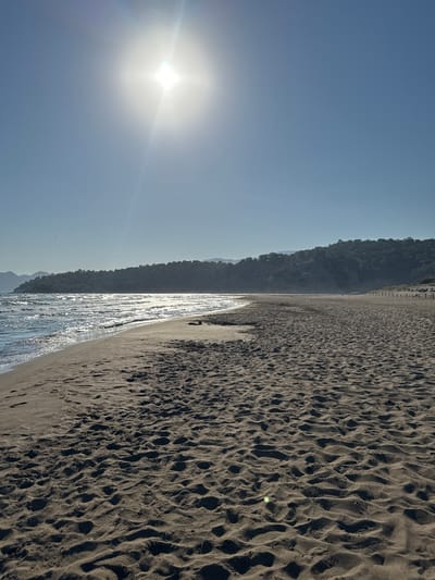 This is a landscape photograph taken from a beach. The scene is divided into two main sections: the sky and the beach. The sky is a clear, pale blue with the sun shining brightly. The sun appears as a starburst with rays of light extending outwards. The beach is covered in dark sand with a rippled texture, suggesting wind or water erosion. Footprints are visible in the sand, indicating recent activity.

To the left of the beach, the ocean meets the shore, with the water reflecting the sunlight and appearing bright and shimmering. A thin strip of water runs along the edge of the sand. In the background, a densely forested hillside rises up, creating a dark, shadowed silhouette against the bright sky. The trees appear lush and green. Along the top of the hillside, there are some vertical wooden posts, possibly part of a fence or barrier. The overall impression is of a serene and natural environment.

The time of day appears to be morning or afternoon, judging by the bright sunlight and long shadows on the sand. The weather is clear and sunny. The location cues, such as the beach, ocean, and forested hills, suggest a coastal or lakeside setting. The image evokes a sense of peace and natural beauty. There is no visible text in the image.
