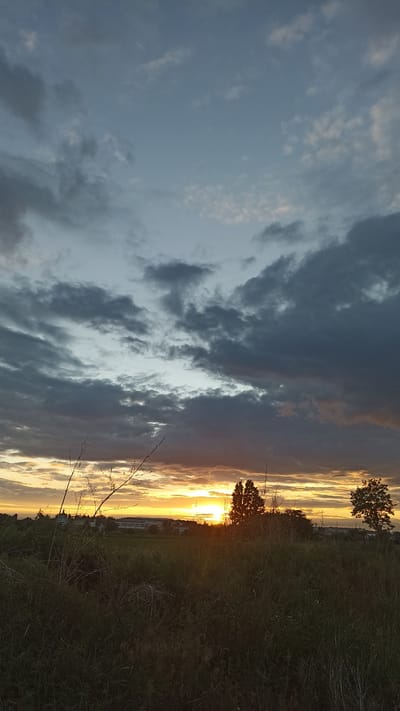 The image depicts a serene sunset over the village of Korzhi, Ukraine. The sky is a dramatic canvas of blues and greys, with scattered clouds tinged by the warm hues of the setting sun. The sun itself, a bright orb of yellow and orange, is partially obscured by a line of trees in the middle ground, casting a golden glow across the landscape. In the foreground, tall grasses and dry branches are silhouetted against the vibrant sky, adding a natural, untamed element to the scene. Beyond the fields, a cluster of buildings is visible, suggesting a rural or suburban setting. The overall impression is one of tranquility and natural beauty.