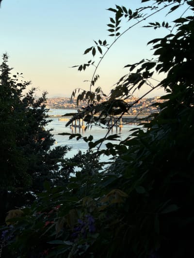 The image shows a view of the Golden Horn waterway in Eyüpsultan, Turkey, as seen through a foreground of dark foliage. In the distance, the cityscape of Istanbul is visible, with numerous buildings and minarets. A bridge spans the waterway, and several boats are present. The sky is a clear, pale blue with a gradient towards yellow near the horizon, suggesting either sunrise or sunset. The foliage in the foreground is lush and green, with some leaves silhouetted against the brighter background. The overall impression is one of a serene, scenic overlook of a historic city.