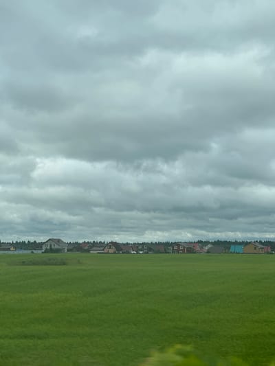 This image depicts a suburban landscape in Krasnyi Bor, Russia, on a cloudy day. In the foreground, a vast, vibrantly green field stretches across the frame. A line of residential houses, varying in color and architectural style, forms a distinct border between the field and the dense forest that lies behind them. The houses are a mix of traditional and modern designs, with some featuring pitched roofs and others appearing more contemporary. The sky above is heavily overcast with dense, gray clouds, suggesting a lack of direct sunlight. No people or vehicles are visible in the scene. The overall impression is one of a tranquil, rural-adjacent setting under a somber sky.