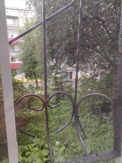 The image depicts a view through a metal grate, likely from a window, looking out onto an overgrown green area. In the background, a multi-story apartment building is visible, with varying architectural details and balconies. The building has a light-colored facade with some sections appearing aged or weathered. Lush green trees and bushes dominate the middle ground and foreground, with some smaller plants and flowers interspersed within the foliage. The overall impression is of a somewhat neglected urban environment with abundant vegetation. It is located in Kiselyovsk, Russia, based on the provided context.