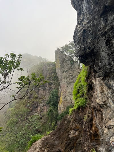 The image depicts a view from inside a rocky cave or overhang in the Planes de Renderos, El Salvador. The foreground is dominated by the interior of the cave, with rough, dark gray rock formations forming the upper portion of the frame. Looking out from the cave, there's a scene of a lush, green landscape obscured by mist or fog. Vegetation, including trees and grasses, covers the hillside. The overall environment suggests a mountainous region with high humidity and dense plant life.