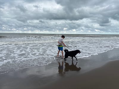 A boy walks a black dog on a beach. The boy wears a patterned short-sleeved shirt and shorts. The dog is on a leash. Waves crash on the shore under a cloudy sky. The wet sand reflects the boy and the dog.