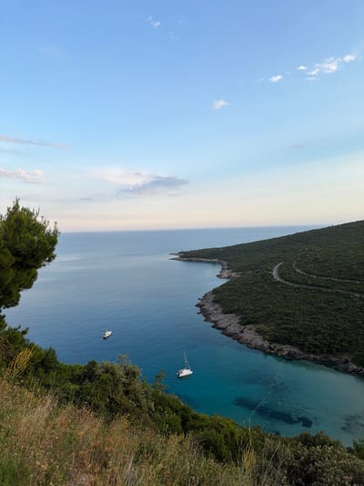 The image depicts a scenic coastal view from a hillside in Višnjevo, Montenegro. In the foreground, lush green vegetation and dry grasses cover the hillside, with a large pine tree branch extending from the left. The mid-ground features a calm, deep blue sea, with two sailboats visible. One is a white motor yacht positioned in the middle of the bay, and another is a white catamaran with sails up, closer to the shore on the right. The right side of the image is dominated by a steep, forested hillside that curves into a bay. A winding road is visible on the hillside. The water in the bay is a clearer, lighter turquoise, revealing the rocky seabed in some areas. The horizon shows a clear blue sky with scattered white clouds, transitioning to lighter hues near the water. The overall scene is one of natural beauty and tranquility, with evidence of human presence in the form of the boats and the road.