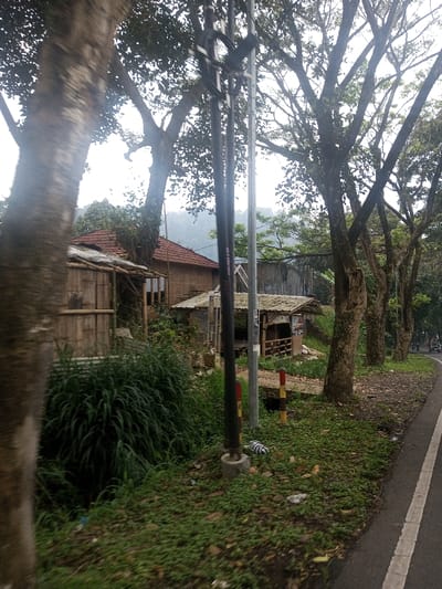 The image depicts a daytime roadside scene in Niz Lakuk, India. In the foreground, a large, out-of-focus tree trunk is partially visible on the far left. The ground is covered with dense green foliage and low-lying vegetation, extending towards a narrow drainage culvert marked by two red and yellow striped posts. Two utility poles, one dark black with bundled wires and one lighter silver-grey, stand centrally. A horizontally striped object, white and dark, lies on the ground near the base of the silver-grey pole.

In the midground, on the left side of the road, several structures are present. A small, roughly constructed shack with bamboo-like walls and a corrugated metal roof is partially obscured. Behind and to its right, a larger building with a distinct red tiled roof and walls made of woven bamboo or similar material is visible. Closer to the road, an open-sided shelter with a light-colored corrugated roof and wooden supports stands empty.

The asphalt road occupies the right side of the frame, featuring a solid white line on its shoulder and a dashed white centerline partially visible further left. A row of mature trees with extensive green foliage lines the right side of the road, extending into the midground. In the distant background, forested hills or mountains are visible through the trees, under a bright, overcast sky. Two vehicles are faintly discernible traveling on the road in the far distance. No individuals are clearly visible or identifiable within the scene.