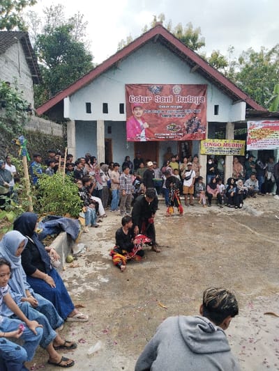 This image depicts an outdoor cultural event occurring in Kerjo, Indonesia. The scene is dominated by a light-colored building with a red-tiled roof, featuring a large banner across its front displaying the text "Gelar Seni Budaya" (Cultural Art Show) and an image of a man in traditional attire. To the right of this banner, a smaller sign mentions "Singo Mudho."
In the foreground, a bare earth/concrete area serves as a performance space. Two individuals, identified as performers, are central to this area. One is seated on the ground, clad in dark clothing with a patterned red and yellow sarong, while another stands over them, also in dark attire. A third performer, partially visible behind them, holds a prop. Scattered pink flower petals are visible across the ground.
An audience of approximately 50-70 individuals, comprising men, women, and children, is gathered around the performance area. Many are standing along the back wall of the main building, while others are seated on a low concrete barrier to the left. In the immediate foreground, facing away from the camera, an individual in a grey hoodie kneels or crouches on the ground, observing the performance. The environment includes lush green foliage and another residential structure to the left. The sky is overcast.