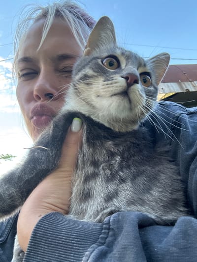 An outdoor, close-up, low-angle shot features a person holding a grey and white tabby cat. The person, whose head is cropped at the top, is making a kissing face with their eyes closed and lips pursed. They have blonde hair with some purple streaks and are wearing a dark blue hooded sweatshirt. The cat, held in the person's left arm and hand, is looking up and to the right with wide, light brown eyes and white whiskers. The cat's fur is grey with darker tabby markings. The background shows a bright blue sky with scattered white clouds, and some indistinct structures, possibly a building or corrugated metal, can be seen. The lighting suggests it is daytime. The location of this image is not specified as Naro-Fominsk, Russia.