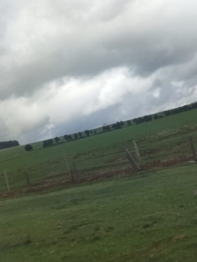 The image shows a rural landscape under a cloudy sky. It seems like a green hillside with scattered trees and a fence running across the foreground. The specific location within Kisima ward, Kenya, is not definitively ascertainable from the image alone without further contextual information. There is no indication of people, subjects, actions, or interactions in the image. The environment is predominantly a grassy hillside.