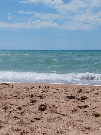 The image depicts a tranquil beach scene at Vinogradny, Russia. The foreground is dominated by coarse, light brown sand, showing indentations that suggest footprints and scattered debris such as small shells and dried seaweed. A small, colorful piece of debris, possibly wood or plastic, rests on the sand in the mid-ground. The middle ground of the image features the shallow, turquoise ocean water, with a white, foamy wave breaking gently near the shore. Further out, the ocean stretches to the horizon, appearing slightly darker and choppier. The sky above is a clear, pale blue, punctuated by scattered, fluffy white clouds. In the far distance of the sky, a single small bird is visible in flight. The overall impression is one of a calm, sunny day by the sea.