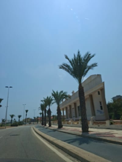 The image captures a view from a moving vehicle on a sunny day, looking along a coastal road lined with palm trees in La Manga Del Mar Menor, Spain. In the foreground, the gray asphalt road curves gently to the left, with a white line marking the edge. A hexagonal pattern, possibly from the vehicle's windshield, is visible across the lower portion of the image.

To the right of the road, a row of tall palm trees stands out against a clear blue sky. Behind the palm trees, a modern, light-colored building with a distinctive angled roofline is partially visible. This building features multiple windows and a colonnaded facade. A white fence with decorative elements runs along the front of the building. Further back, other buildings and lush green trees can be seen, suggesting an urban or resort setting.

Streetlights with multiple lamps are spaced along the left side of the road, indicating a well-developed infrastructure. A faint white line, possibly a contrail, is visible in the upper right quadrant of the sky, and some bright lens flares are also present. The overall impression is one of a bright, warm day in a popular coastal destination.
