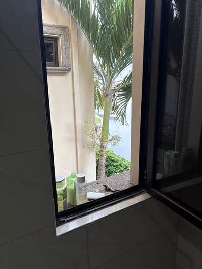 The image shows a partially open window in a bathroom. The window frame is black and the window is open to the right. The window is looking out onto a patio with a palm tree growing up and to the right, and a white building with a small window in the upper left. The patio has white tiles and there are three bottles of toiletries sitting on the ledge. The toiletries include a green bottle and a white bottle with a label, along with a white bar of soap. There is a small black object on the ledge. The wall behind the window is white tile. This scene is located in a bathroom of a home in Río Oro, Costa Rica (latitude: 9.945, longitude: -84.201).