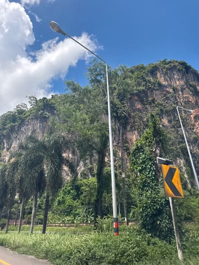 The image depicts a tropical roadside scene in Phang-nga, Thailand, characterized by a steep, verdant limestone cliff face dominating the background. The cliff is covered in dense vegetation and shows signs of erosion, with visible striations and layers. A bright blue sky with scattered white clouds fills the upper portion of the frame.

In the foreground and mid-ground, the scene is a mixture of natural and man-made elements. A tall lamppost, likely a street light, extends from the left side of the frame upwards towards the sky, its metallic surface reflecting the sunlight. Beside the cliff face, a thick growth of green foliage, including palm trees and other lush tropical plants, creates a dense wall of greenery.

A black and yellow chevron warning sign, indicating a bend or hazard in the road, is prominently displayed on a pole alongside the road. Beneath the sign, power lines and other utility infrastructure are visible, suggesting the presence of a road and perhaps a nearby settlement. The road itself is partially visible on the right side of the image, with a yellow line marking its edge, suggesting a paved surface.

The overall impression is one of a sunny day, likely late morning or early afternoon given the bright sunlight and clear skies. The lush vegetation and the dramatic karst topography are characteristic of the landscape found in Phang-nga province, known for its stunning natural beauty, particularly its limestone formations and coastal areas. No people are visible in the image, and the scene appears peaceful and undeveloped, focusing on the natural environment and the infrastructure supporting it.