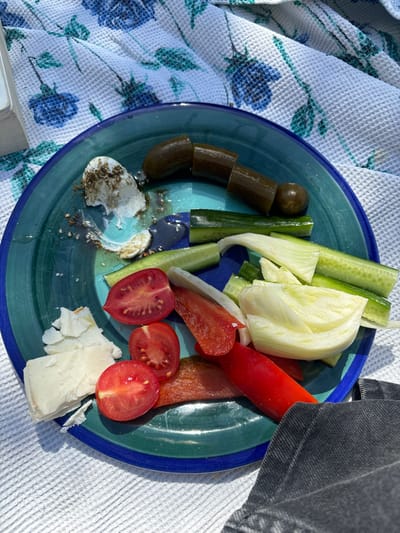The image displays a blue ceramic plate featuring an assortment of food, resting on a white, textured blanket adorned with a blue floral pattern, under direct sunlight. The food items include: a partially consumed smear of white dairy product, likely labneh, with dark spices (consistent with za'atar); several whole and segmented pickled cucumbers arranged in an arc; elongated slices of fresh green cucumber; irregular white-yellow slices resembling fennel or cabbage; halved red cherry tomatoes; flakes of white cheese; and strips of red bell pepper. The plate exhibits signs of partial consumption. A dark fabric, resembling denim, is visible in the bottom right corner, partially covering the blanket. A light-colored, rectangular object is partially visible in the upper left background. No individuals are present. The specific location within the Menashe Regional Council, Israel, is not visually identifiable from the image content.