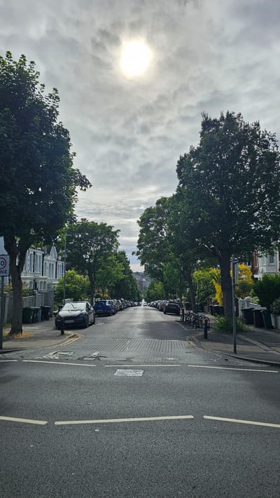 This is an outdoor, eye-level, vertical, medium shot of a tree-lined residential street in Brighton, United Kingdom. The scene is on a cloudy day, with the sun peeking through the overcast sky on the left side of the image. A row of parked cars lines the right side of the street, and there are houses visible on the left. The street appears wet, suggesting recent rain. The overall mood is calm and ordinary, depicting a typical day in a residential area. There are no people visible in the image. Notable details include the wet road, the cloudy sky with a visible sun, and the parked cars. There is a “NO WAITING” road sign visible in the lower left corner of the image.