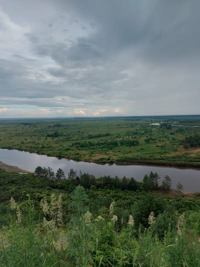 This is a high-angle, wide shot photograph of a wide, calm river winding through a vast, flat green landscape under a cloudy sky. In the foreground, lush green vegetation, including tall grasses and some flowering plants, is prominent. The river, dark and reflective, occupies the mid-ground, with its banks lined by a dense forest of green trees. Beyond the immediate tree line, the landscape opens up into rolling fields and scattered patches of trees, extending towards the horizon. The sky is filled with heavy, grey clouds, with some lighter patches indicating a break in the overcast conditions. The overall impression is one of a serene, natural landscape, likely in a rural or undeveloped area. The image does not contain any people or identifiable structures that would suggest a specific urban location within Shirokii Log, Russia, beyond being representative of its natural environment.