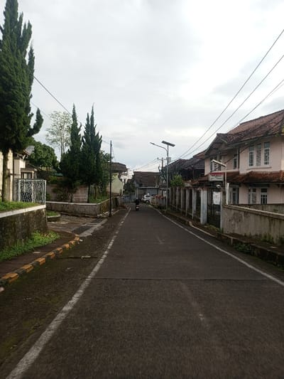 A straight, narrow paved road runs through a residential area under a cloudy sky. Houses line both sides of the street, some with red-tiled roofs and fences. Tall, thin evergreen trees are scattered along the left side. A person on a scooter is seen further down the road, heading away from the viewer. Utility poles and wires stretch across the sky. Moss and vegetation grow along the curbs and edges of the road, suggesting a damp climate.