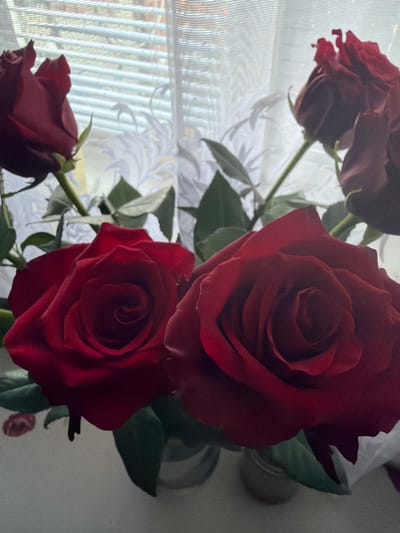 This media file features a close-up view of a bouquet of red roses. The roses are the primary subjects, with their deep red petals in various stages of bloom. One rose is prominently in the foreground, showcasing its layered petals and intricate center. Another rose is slightly out of focus above it, and a third, smaller bud is visible at the bottom left. Dark green leaves are interspersed among the flowers, adding contrast to the vibrant red.
The background is soft and blurred, suggesting an indoor setting. There are elements that appear to be white fabric or flowers, possibly part of the bouquet or surrounding decoration. To the left, a textured surface with vertical lines can be seen, which might be a window with blinds or curtains, allowing diffuse light to enter. The lighting is soft, hinting at natural light, possibly from a window. The overall mood is one of gentle beauty and perhaps a touch of romance, evoked by the classic symbolism of red roses. No people are visible, and the scene appears to be a still life arrangement. There is no visible text in the image. The location context of Timashevsk, Russia, does not provide specific visual cues within the image itself.
