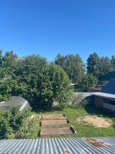 This is a medium-angle, exterior, eye-level shot of a backyard scene. The image is oriented vertically. A clear blue sky fills the left portion of the frame, with the tops of several large, leafy green trees visible on the right side of the sky.
The main focus of the scene is a suburban backyard. The ground is covered in green grass, with some patches of bare, sandy soil. Three wooden garden beds are visible in the mid-ground, filled with dark soil. A small, curved greenhouse with a silver, translucent roof is situated in the lower right quadrant of the image, partially obscured by lush green foliage.
In the background, a building with a corrugated metal roof and siding can be seen. The roof appears to be a weathered grey, with streaks of rust visible on some sections. The building's walls are a light blue and white color. Trees are abundant throughout the scene, creating a lush and natural atmosphere.
The time of day appears to be midday, given the bright sunlight and clear blue sky. The weather seems to be warm and sunny, ideal for gardening. The setting is a residential backyard, likely in a rural or suburban area, given the presence of garden beds, a greenhouse, and abundant greenery. No people are visible in the frame, and no text is present. The overall mood is peaceful and serene, suggesting a well-maintained garden space.