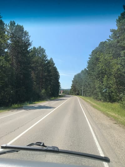 The image shows a view from inside a vehicle looking forward along a paved road. The road is bordered by dense coniferous forest on both sides, with tall trees forming a wall of green. The sky above is clear and blue. In the distance, the road curves slightly to the left, and there appears to be a small settlement with buildings visible through the trees. The foreground shows the vehicle's windshield wiper and a portion of the dashboard. The overall impression is of a scenic drive through a natural landscape in Vvedenshchyna, Russia.