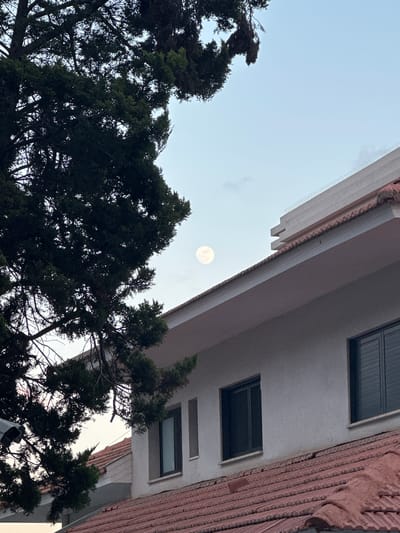 A low-angle shot captures a full moon positioned between tree branches and the corner of a building in Kfar Shmaryahu, Israel. The building has white siding and what appears to be a reddish-brown brick or tile facade on its side. Several rectangular windows are visible. Two dark green trees frame the left and right sides of the frame, partially obscuring the sky. The sky itself is a pale blue. No people are visible.