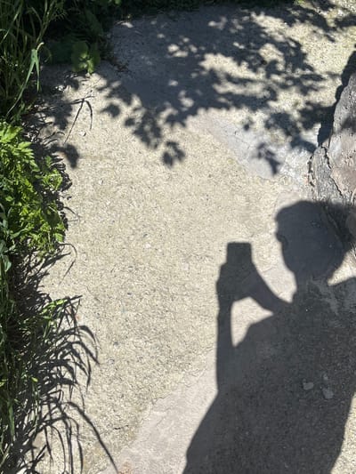 In Jrarat, Armenia, a shadow of a person holding a smartphone is cast on a concrete surface. The shadow, elongated by the sun, reveals the outline of a head and the arm holding the device. Nearby, the dappled shade of tree leaves falls across the ground, suggesting an outdoor setting, possibly a garden or a paved area in a residential or public space. Green foliage encroaches on the left side of the frame, with long, thin blades of grass and larger leaves creating intricate shadow patterns. The concrete itself is textured and shows signs of wear, with some small stones and cracks visible. The overall scene is a snapshot of a sunny day, captured through the interplay of light and shadow.