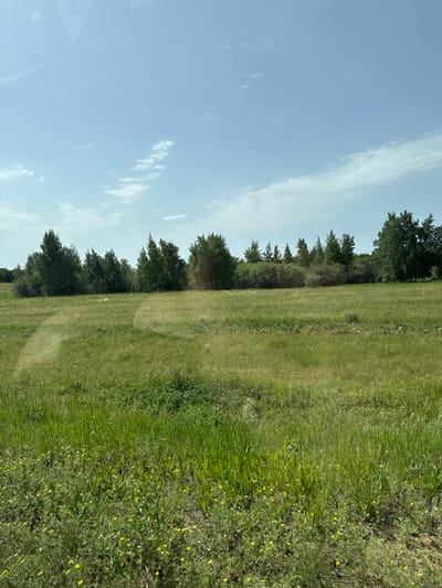 The image shows a grassy field bordered by trees under a blue sky with scattered clouds. The field has varying textures and includes patches of wildflowers. The location is potentially near Дүңгілағаш, Kazakhstan, as the image appears to be taken from the region. There are no people or other objects visible in the image. The focus is on the natural environment.