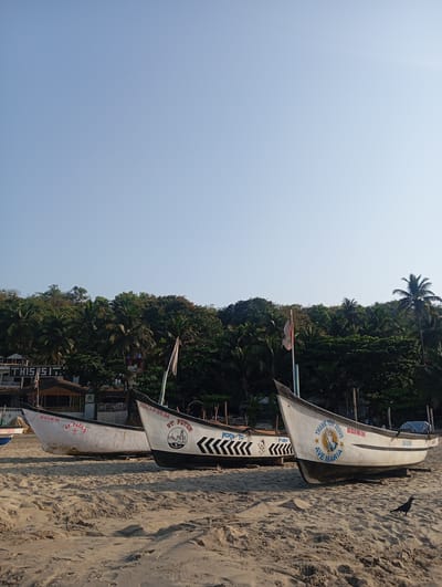 The image shows three fishing boats resting on the sandy beach of Arambol, India. The boats are lined up, facing the viewer, with tropical vegetation and a pale blue sky in the background. Each boat has a unique name and design: the first reads "ST. PAULO," the second "ST. PETER," and the third "THANK YOU JESUS AVE MARIA." A bird stands on the sand near the rightmost boat. The boats display registration numbers "IND-GA-01-MM-1443," "IND-GA-01-MM-3646," and "IND-GA-01-MM-1388." A building is visible behind the first boat.