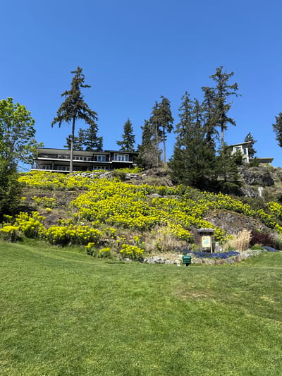 This photograph, likely taken on a clear day in Bowen Island Municipality, British Columbia, Canada, depicts a landscaped hillside adjacent to a manicured lawn. The hillside features a natural rock face partially covered in dense, yellow flowering vegetation. A multi-story residential building is situated on the slope, with tall evergreen trees interspersed throughout the scene. A sign, possibly related to a golf course, is visible near the edge of the hillside. The sky is a clear, bright blue. No people are visible in the image.