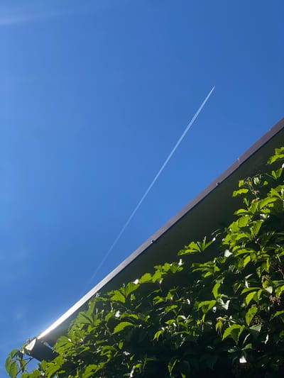The image shows a clear blue sky with a long white contrail from an airplane. In the foreground, there is a section of a building's roofline, angled from the lower left to the upper right of the frame. Lush green ivy or a similar climbing plant covers the side of the building, partially obscuring the roof. The sunlight casts shadows on the leaves, highlighting their texture and form. The setting appears to be outdoors, likely during the daytime, given the bright sky and sunlight. There are no people visible in the image. The scene is devoid of any specific landmarks or indications of the city of Lampovo, Russia.